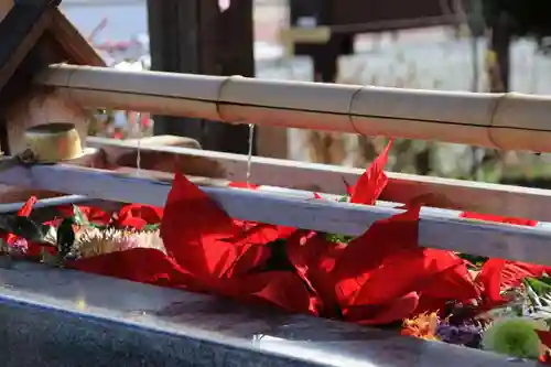 豊景神社の手水