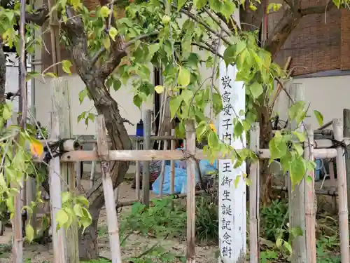 大日女尊神社の自然
