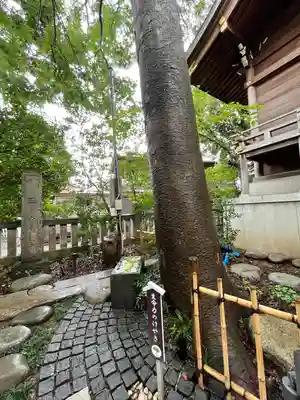 行田八幡神社のその他建物