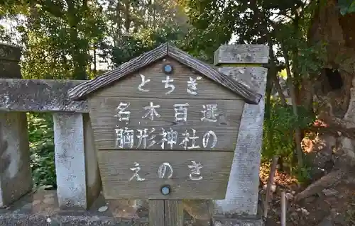 胸形神社の体験その他