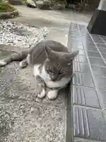 熊野神社(福岡県)