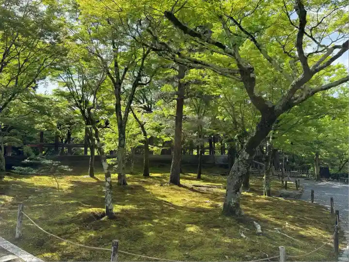 東福禅寺(東福寺)(京都府)