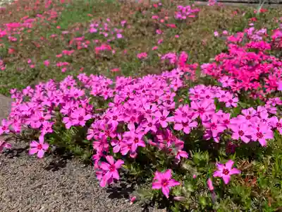 普門寺(切り絵御朱印発祥の寺)(愛知県)