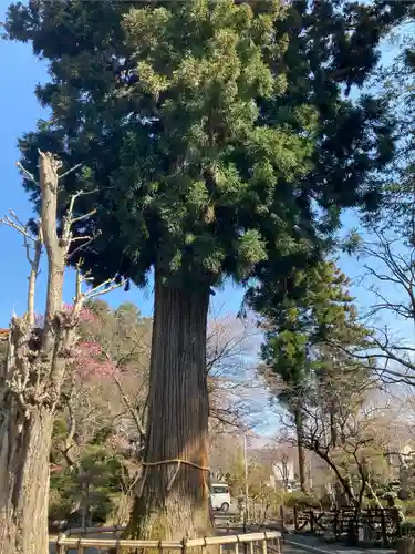 永福寺(長野県)