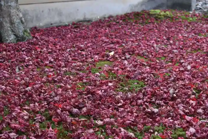 廬山寺(廬山天台講寺)(京都府)