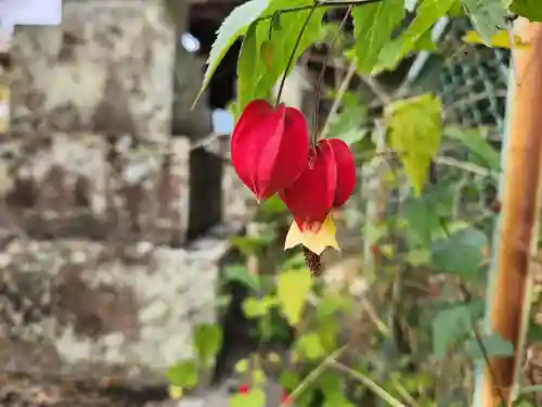金泉寺(徳島県)