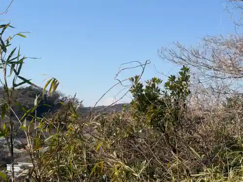 杉本寺の{uncategorized: "未分類", other: "その他", undefined: "問題あり", building: "その他建物", grave: "お墓", sacred_gate: "鳥居", guardian: "狛犬", statue: "像", buddha: "仏像", history: "歴史", nature: "自然", garden: "庭園", animal: "動物", pagoda: "塔", temizu: "手水舎", mountain_gate: "山門・神門", sanctuary: "本殿・本堂", subordinate: "末社・摂社", art: "芸術", scenery: "景色", jizo: "地蔵", ema: "絵馬", goshuin: "御朱印", omikuji: "おみくじ", items: "授与品その他", amulet: "お守り", goshuincho: "御朱印帳", eats: "食事", festival: "お祭り", votive_dance: "神楽", shichigosan: "七五三参", wedding: "結婚式", experience: "体験その他", initially: "初詣", around: "周辺", anti_infection: "感染症対策"}