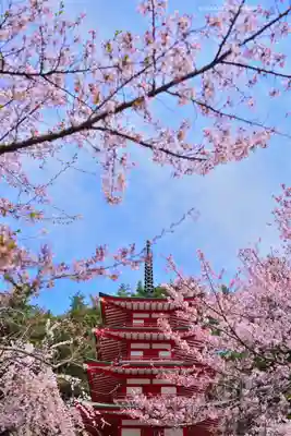新倉富士浅間神社(山梨県)