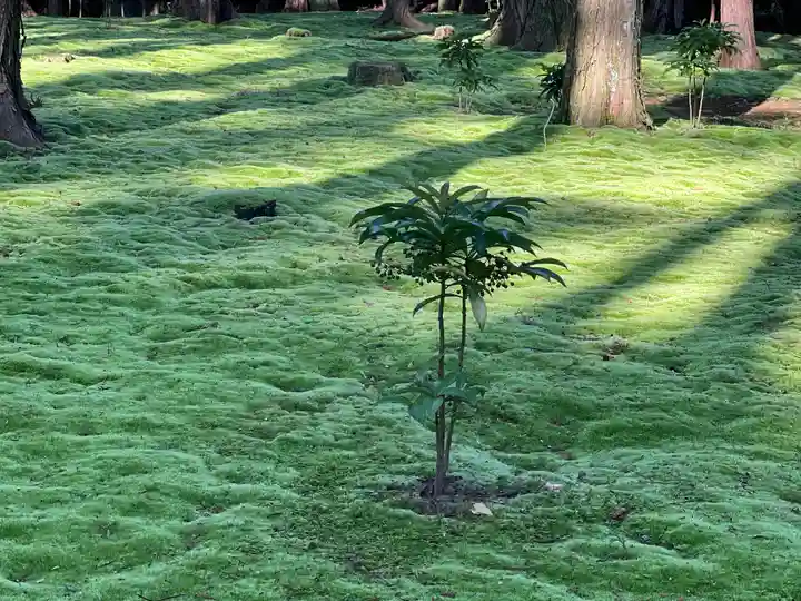 唐招提寺の自然