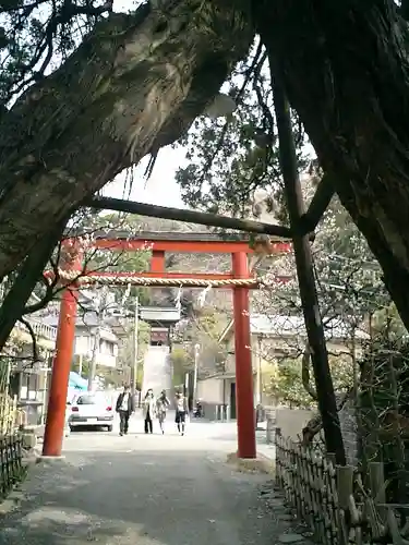 覚園寺の鳥居