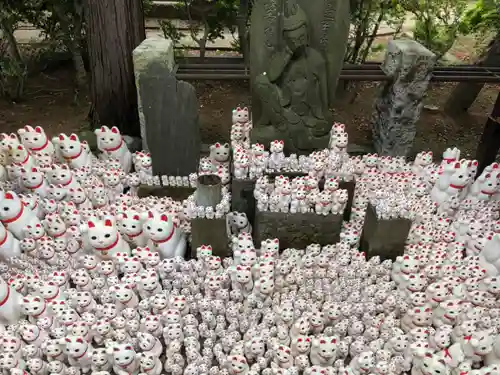 豪徳寺の狛犬