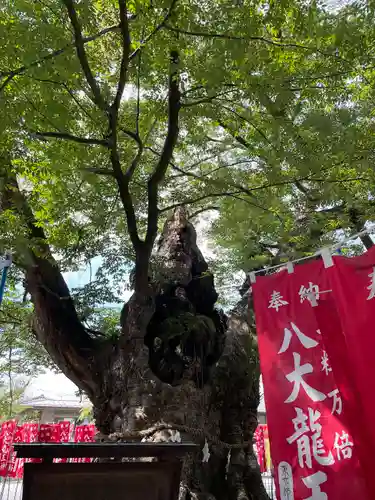 秩父今宮神社(埼玉県)