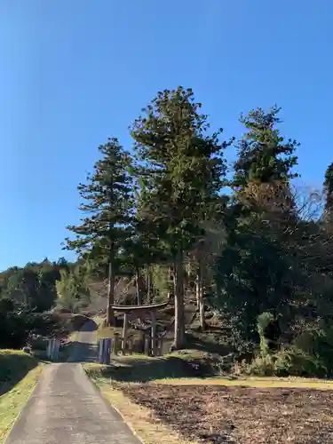 白山神社の鳥居