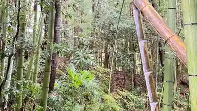 相馬中村神社(福島県)
