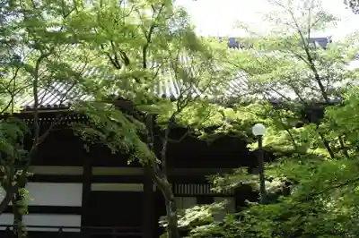 真正極楽寺（真如堂）(京都府)