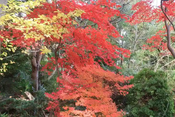 豊景神社の自然