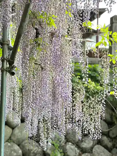 鳩ヶ嶺八幡宮(長野県)