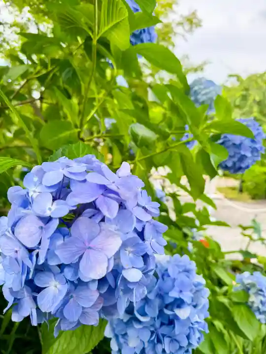 平等院(京都府)