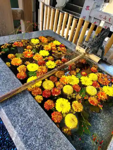 高円寺氷川神社(東京都)