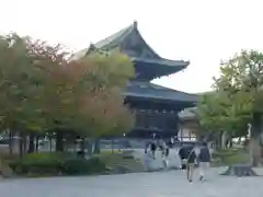 東寺（教王護国寺）の本殿