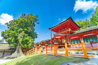 春日大社(奈良県)