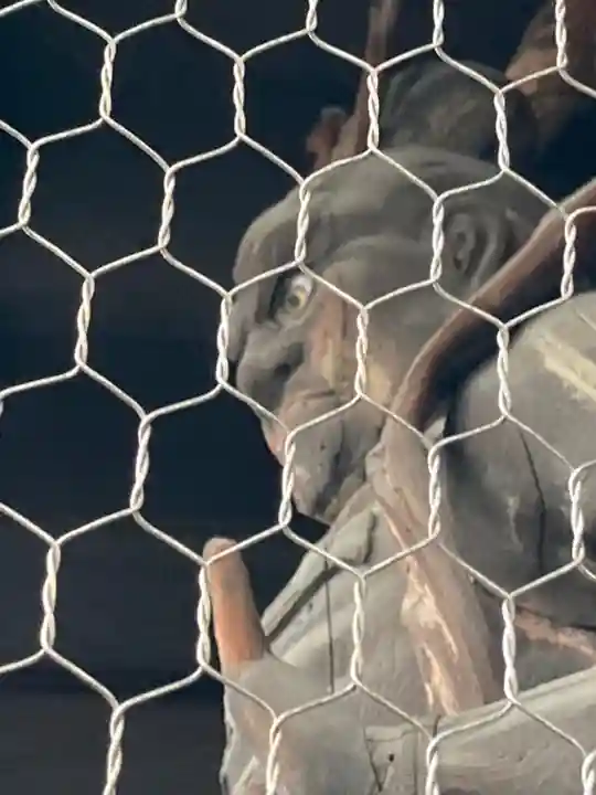 十輪寺の山門・神門