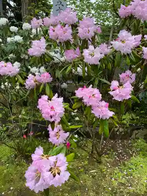 高照寺(兵庫県)