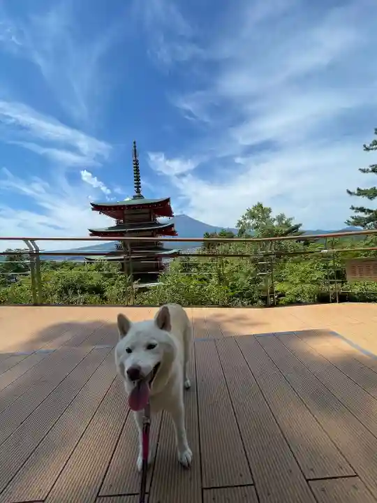 新倉富士浅間神社(山梨県)
