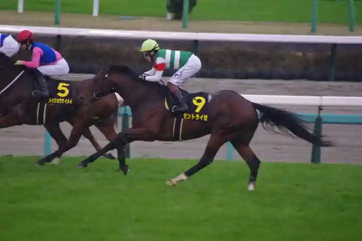 印内八坂神社(千葉県)