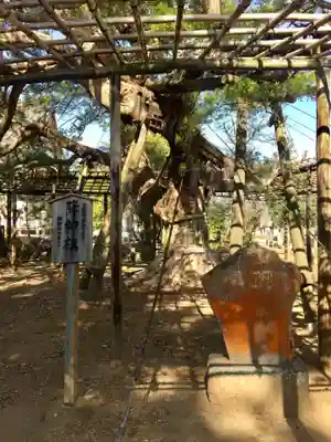鏡忍寺の山門・神門