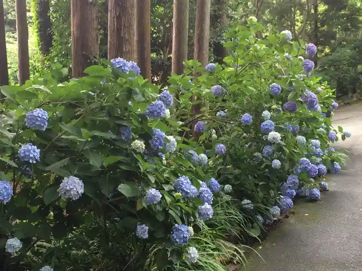 東大寺別院阿弥陀寺(山口県)