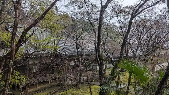 勝持寺(花の寺)(京都府)
