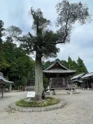白川神社(滋賀県)