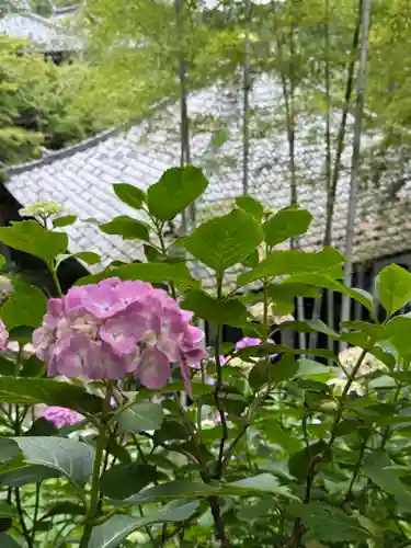 長谷寺(神奈川県)