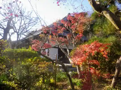 浄光明寺の庭園