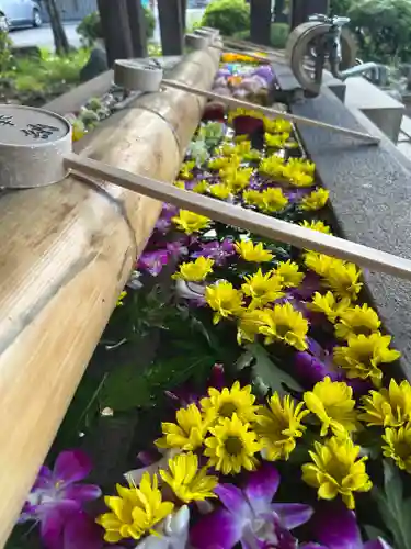 群馬県護国神社(群馬県)