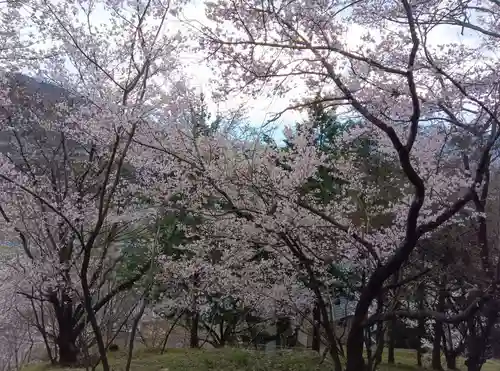 大善寺(山梨県)