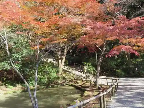 室生寺の自然