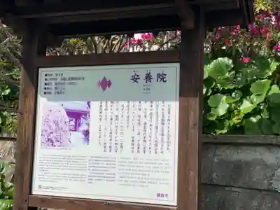 安養院　(田代寺）の歴史