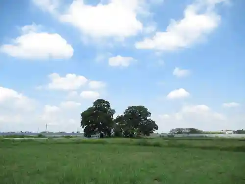 神明神社(千葉県)