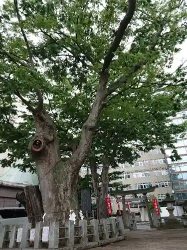 阿邪訶根神社の自然