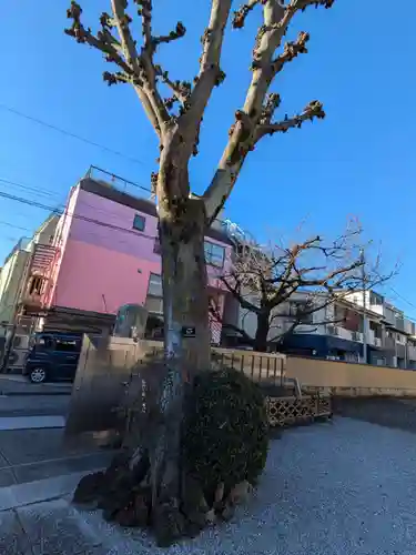 慈眼寺(東京都)