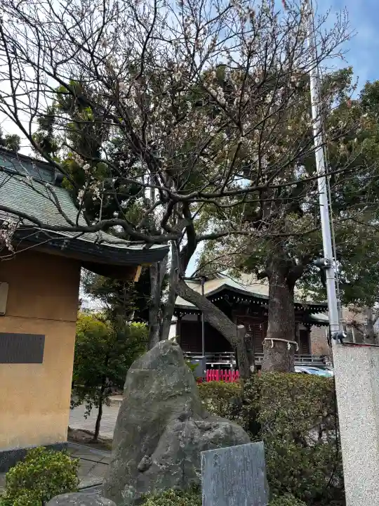 東京羽田 穴守稲荷神社の{uncategorized: "未分類", other: "その他", undefined: "問題あり", building: "その他建物", grave: "お墓", sacred_gate: "鳥居", guardian: "狛犬", statue: "像", buddha: "仏像", history: "歴史", nature: "自然", garden: "庭園", animal: "動物", pagoda: "塔", temizu: "手水舎", mountain_gate: "山門・神門", sanctuary: "本殿・本堂", subordinate: "末社・摂社", art: "芸術", scenery: "景色", jizo: "地蔵", ema: "絵馬", goshuin: "御朱印", omikuji: "おみくじ", items: "授与品その他", amulet: "お守り", goshuincho: "御朱印帳", eats: "食事", festival: "お祭り", votive_dance: "神楽", shichigosan: "七五三参", wedding: "結婚式", experience: "体験その他", initially: "初詣", around: "周辺", anti_infection: "感染症対策"}