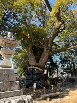許禰神社(静岡県)