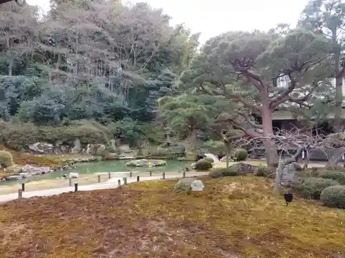 青蓮院門跡の庭園