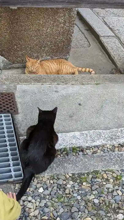 養源院(京都府)