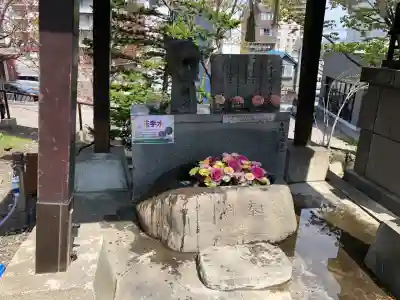 手稲神社の{uncategorized: "未分類", other: "その他", undefined: "問題あり", building: "その他建物", grave: "お墓", sacred_gate: "鳥居", guardian: "狛犬", statue: "像", buddha: "仏像", history: "歴史", nature: "自然", garden: "庭園", animal: "動物", pagoda: "塔", temizu: "手水舎", mountain_gate: "山門・神門", sanctuary: "本殿・本堂", subordinate: "末社・摂社", art: "芸術", scenery: "景色", jizo: "地蔵", ema: "絵馬", goshuin: "御朱印", omikuji: "おみくじ", items: "授与品その他", amulet: "お守り", goshuincho: "御朱印帳", eats: "食事", festival: "お祭り", votive_dance: "神楽", shichigosan: "七五三参", wedding: "結婚式", experience: "体験その他", initially: "初詣", around: "周辺", anti_infection: "感染症対策"}