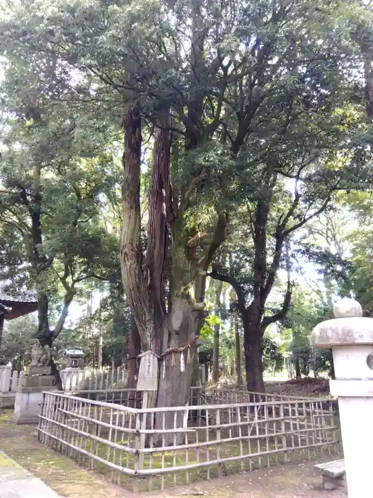 紀倍神社(福井県)