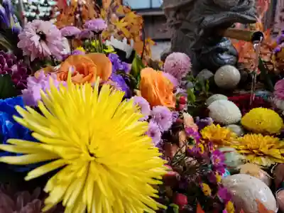 滑川神社 - 仕事と子どもの守り神の手水舎