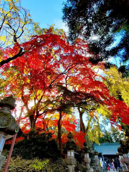 神炊館神社 ⁂奥州須賀川総鎮守⁂の自然